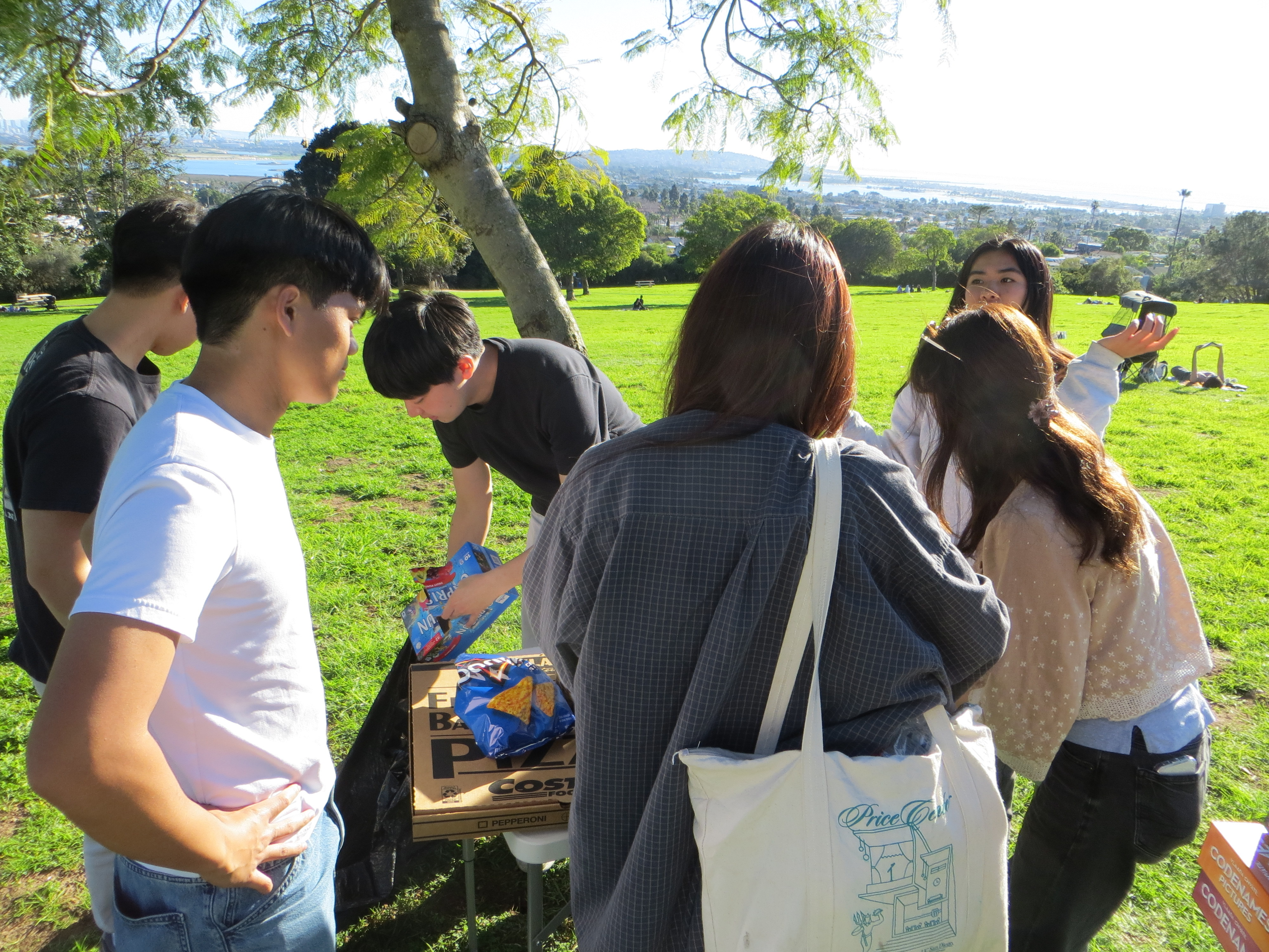 Club picnic with pizza and board games on the lawn